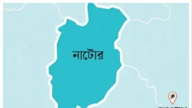 অন্যের জমিতে বাড়ি নির্মাণে বাধা, বৃদ্ধ বাবা-মাসহ ছেলেকে পিটিয়ে জখম