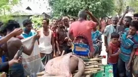 জামালপুরে হাতির আক্রমণে শ্রমিকের মৃত্যু&nbsp;