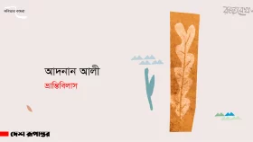 ভ্রান্তিবিলাস