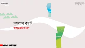 আম্রমঞ্জরির ঘ্রাণ