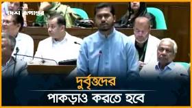 মাফিয়া-লুটেরারা ব্যাংকগুলোকে ফোকলা করে ফেলেছে: ভিপি নুর