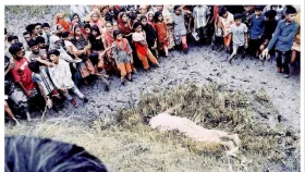 সারিয়াকান্দিতে সিএনজিচালককে শ্বাসরোধে হত্যা