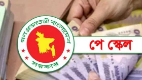 পে স্কেলের খসড়া গেজেট প্রস্তুত: কোন গ্রেডে কত বাড়ছে বেতন
