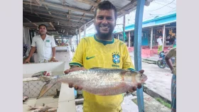 ৯ হাজার ৩০০ টাকায় বিক্রি হলো মেঘনার বিশালকার ইলিশ