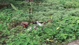 সখীপুরে নিখোঁজের একদিন পর নারীর মরদেহ উদ্ধার