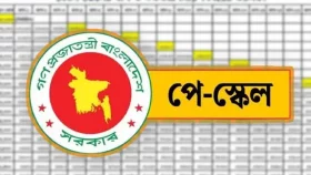পে-স্কেল : সফটওয়্যার জটিলতায় আটকে আছে গেজেট প্রকাশ!