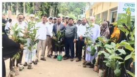 মুরাদনগরে জাতীয় পল্লী উন্নয়ন দিবস উদযাপন