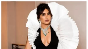 &lsquo;বিচ্ছেদ নিয়ে আর কিছু বলব না&rsquo;, বিরক্ত প্রিয়াঙ্কা