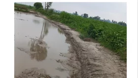 রাস্তা কাটার ঘটনায় ১০ দিনেও মামলা না হওয়ার অভিযোগ&nbsp;