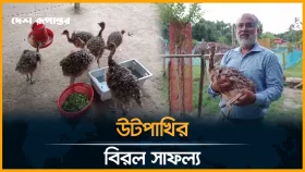 পার্বতীপুরে উটপাখির বাচ্চার সফল প্রজনন