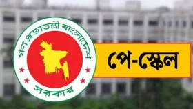 পে-স্কেল : নিবিড়ভাবে পর্যালোচনা করছে আইএমএফ
