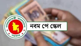 যেভাবে চূড়ান্ত হচ্ছে পে-স্কেলের গেজেট, লাগতে পারে কত সময়?