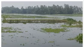 কুড়িগ্রামে নদীর পানি বৃদ্ধি, তিস্তা-দুধকুমারে বন্যার শঙ্কা
