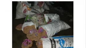 রাজবাড়ীতে আড়াই লাখ টাকার কারেন্ট জাল জব্দ