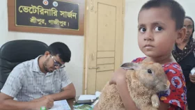 আহত খোরগোশের জন্য দুদিন না খাওয়া সিনহা, গেল হাসপাতালে