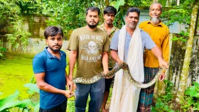 বিশ্ব সাপ দিবসে শ্রীমঙ্গলে অজগর উদ্ধার