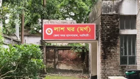 ছোট ভাইকে বাঁচাতে গিয়ে ডাকাতের হামলায় বড় ভাইয়ের নিহত