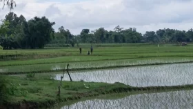 শ্রীরামপুর সীমান্তে বিএসএফের বেড়া দেওয়ার চেষ্টা, বিজিবির বাধার মুখে পণ্ড
