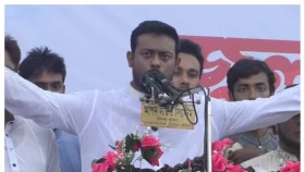 বিএনপি হাসিনার সংবিধান বাস্তবায়নে কাজ করছে: নাসীরুদ্দীন পাটওয়ারী