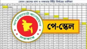 প্রশাসনিক ও আর্থিক প্রস্তুতির ঘাটতিতে আটকে আছে পে-স্কেল