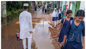 ভাণ্ডারিয়ায় সড়কের বেহাল দশা, চলাচলে চরম দুর্ভোগ