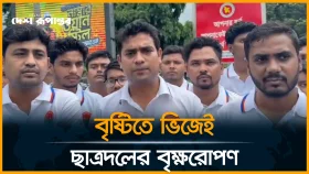 জুলাই গণঅভ্যুত্থানে শহীদদের স্মরণে ছাত্রদলের বৃক্ষরোপণ