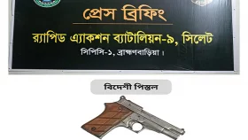 কাটা গাছের গোড়ায় লুকানো বিদেশি পিস্তল উদ্ধার