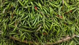 রাজধানীতে কাঁচা মরিচের কেজি ৩২০ টাকা