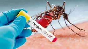ডেঙ্গুতে ৩ জনের মৃত্যু, হাসপাতালে ভর্তি ৪৫৮