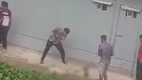 চট্টগ্রামে পিটিয়ে দুটি কুকুর হত্যা, ভিডিও ভাইরাল