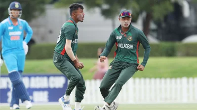 টাইগার উন্মাদনা। 