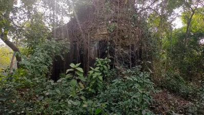 ভ্রমণপিপাসুরা প্রতিদিন মসজিদ দুটি দেখতে যান