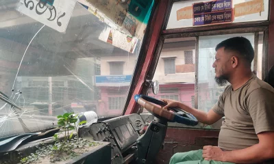 আহা, বাসের মধ্যে গাছ!