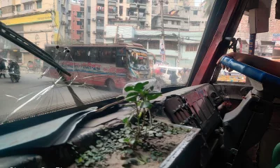 আগে অনেক বেশি গাছ ছিল!