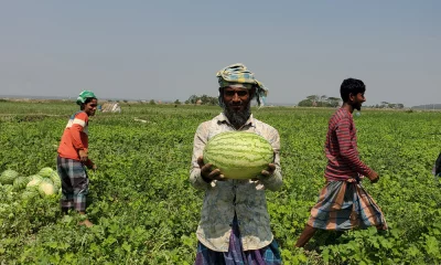 ছবি : দেশ রূপান্তর