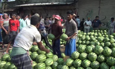 কোটি টাকার তরমুজের হাট&nbsp;