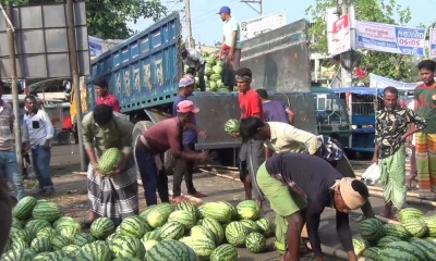 কোটি টাকার তরমুজের হাট&nbsp;