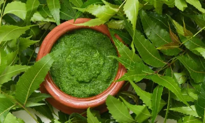 যে কারণে গরমে তিতা খেতে হয় বেশি