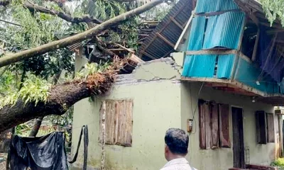 ঝড়ে গাছ পড়ে ভেঙে গেছে শতাধিক বসতঘর।