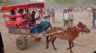 দিনাজপুর জেলার ফুলবাড়ীর আলাদীপুর ইউনিয়নে মেলাবাড়ী বাজারে আয়োজন করা হয়েছে পুরাতন চিন্তামন পশু মেলা। 