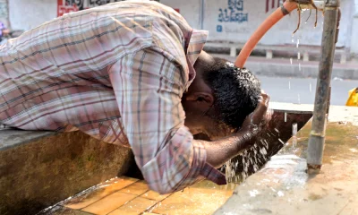 ছবি : ফোকাস বাংলা