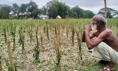 ছবি : দেশ রূপান্তর