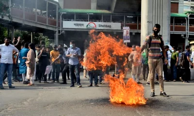 ছবি : ফোকাস বাংলা