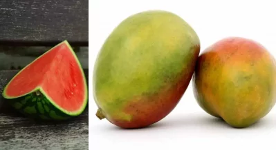 তরমুজ ও আম