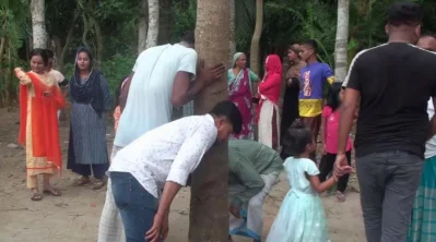 গাছের গায়ে গোবর লেপার কারণে এক নারী অসুস্থ হয়ে পড়েছেন বলে দাবি স্থানীয়দের। ছবি: প্রতিনিধি