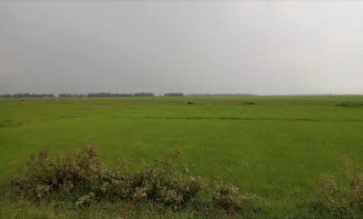 মৎস্য বিভাগ বলছে অনাবৃষ্টি ও দাবদাহের কারণেই এ পরিস্থিতি