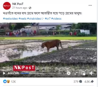 এনকে পোস্ট ফেসবুক পেজে ভাইরাল ভিডিওটি।