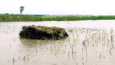 ছবি: প্রতিনিধি
