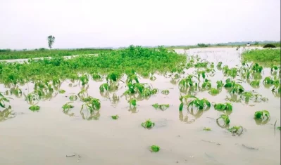 ছবি: প্রতিনিধি