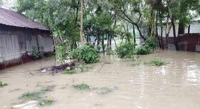 টাঙ্গাইলে বন্যার পানিতে ডুবে আছে বাড়িঘর | ছবি: সংগৃহীত 